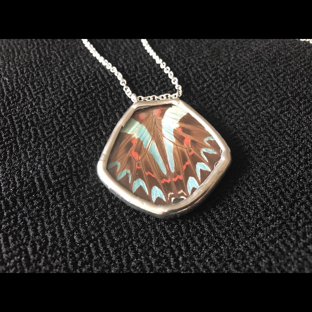 Real Butterfly Wing Necklace